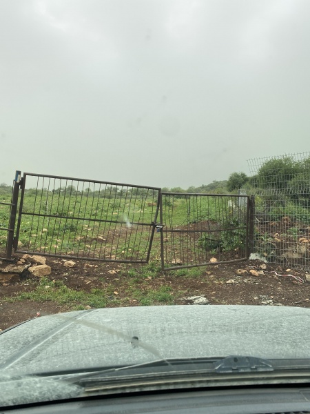 קובץ:2021-03-23T11 08 10.922518840200.jpg
