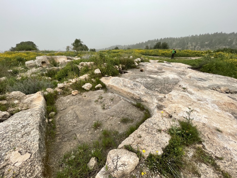 קובץ:2021-03-23T13 10 32.867798762202.jpg