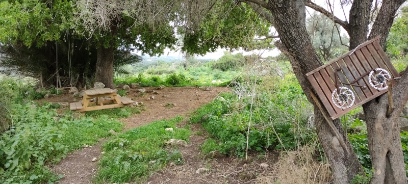 קובץ:2021-03-25T15 58 34.870243295870.jpg