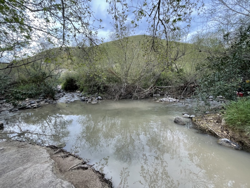 קובץ:2021-03-27T15 59 51.089065243782.jpg