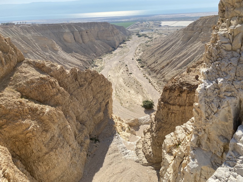 קובץ:2021-03-29T18 29 28.763837461998.jpg