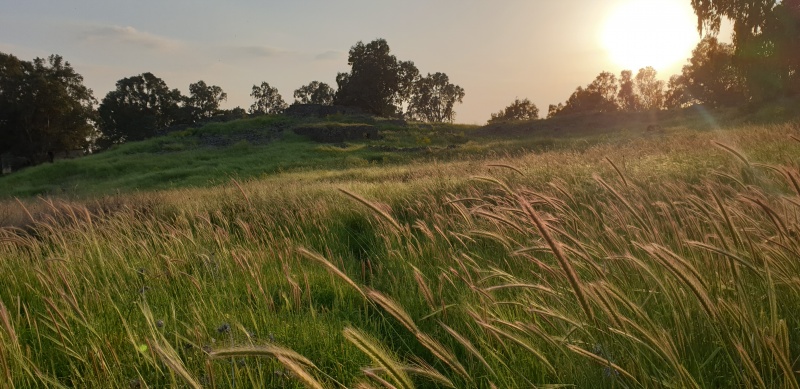 קובץ:2021-03-30T18 36 31.506660891572.jpg