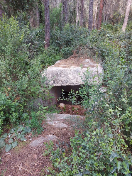 קובץ:2021-03-31T14 15 33.679557503347.jpg