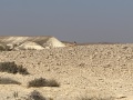 תמונה ממוזערת לגרסה מתאריך 18:11, 18 במאי 2021