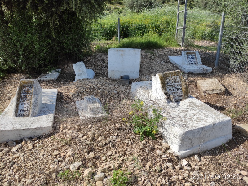 קובץ:2021-04-09T09 20 46.250498655494.jpg