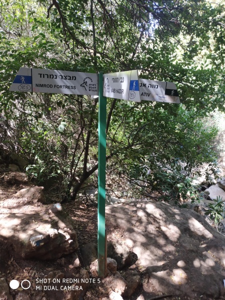 קובץ:2021-04-15T10 21 00.168603609189.jpg