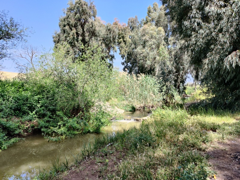 קובץ:2021-04-16T10 59 15.400567107362.jpg