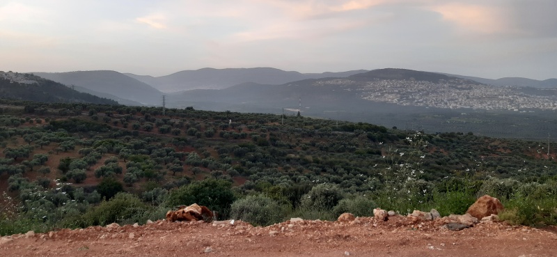 קובץ:2021-04-17T19 04 47.401458136701.jpg