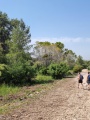 תמונה ממוזערת לגרסה מתאריך 09:54, 11 בספטמבר 2021