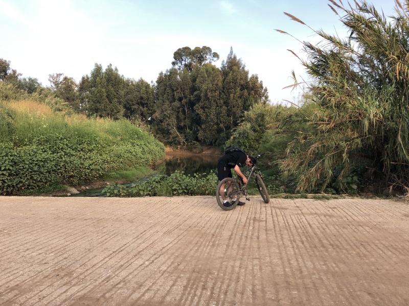 קובץ:2021-04-24T18 24 19.199079519714.jpg