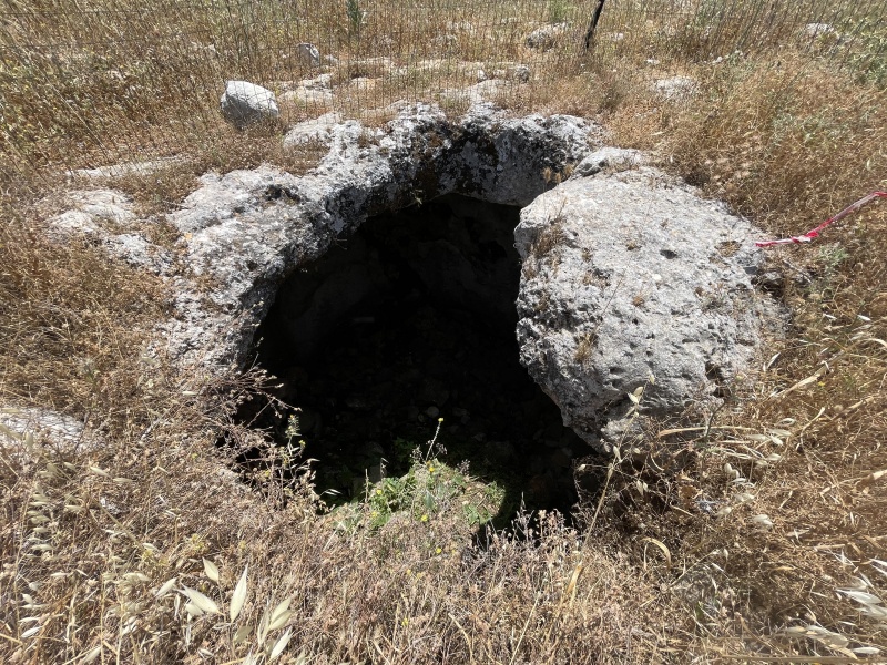 קובץ:2021-04-30T12 27 05.089852386533.jpg