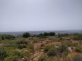 תמונה ממוזערת לגרסה מתאריך 12:36, 3 במאי 2021