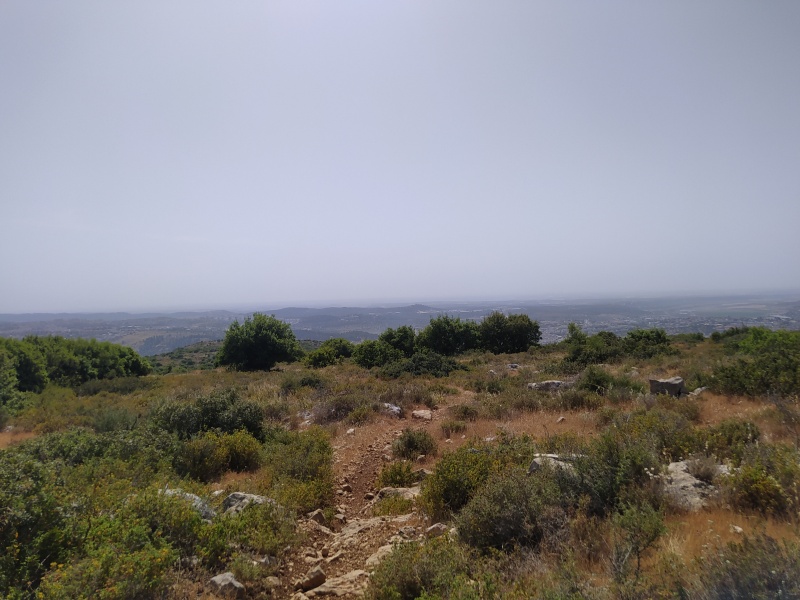 קובץ:2021-05-03T15 17 08.770585427978.jpg