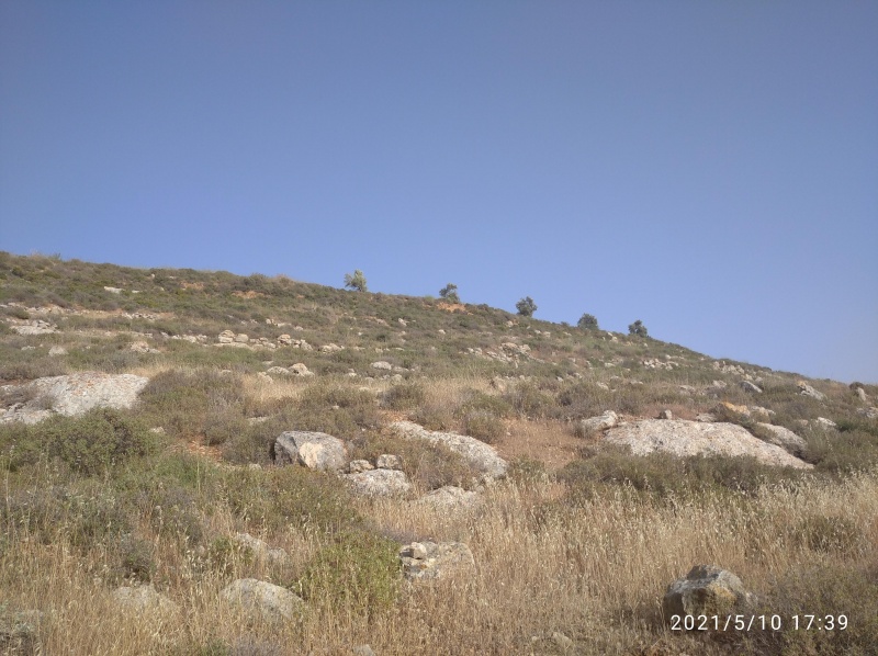 קובץ:2021-05-10T17 39 11.637588259182.jpg