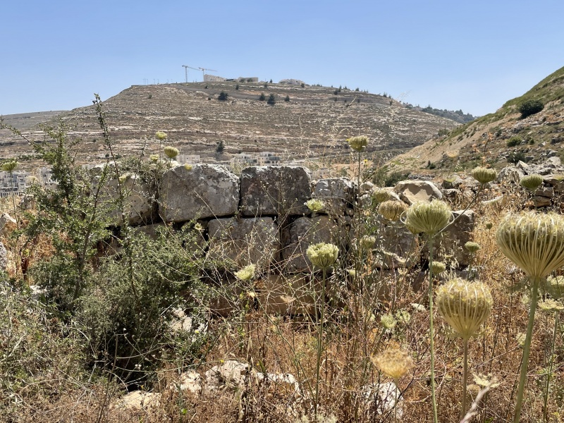 קובץ:2021-05-29T10 49 47.600081427133.jpg
