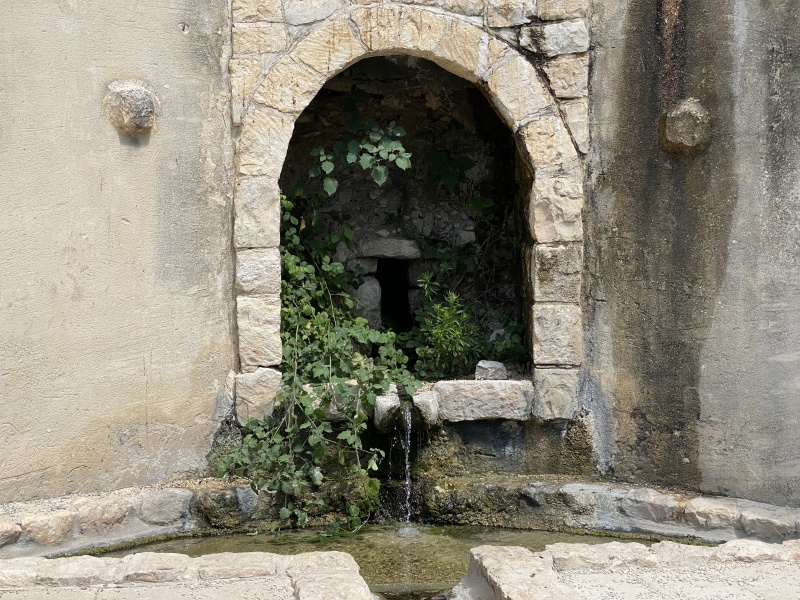 קובץ:2021-06-21T10 44 04.239188494383.jpg