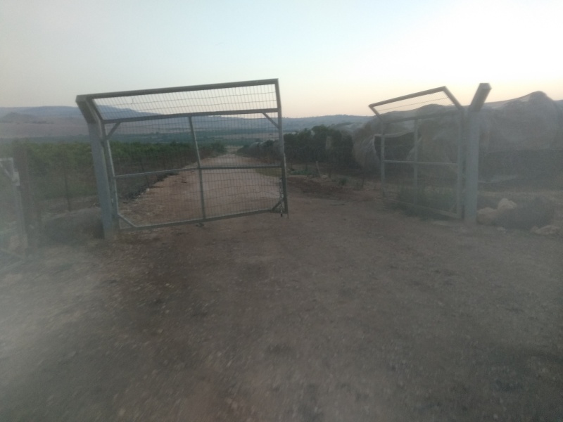 קובץ:2021-07-27T05 41 01.867116282371.jpg