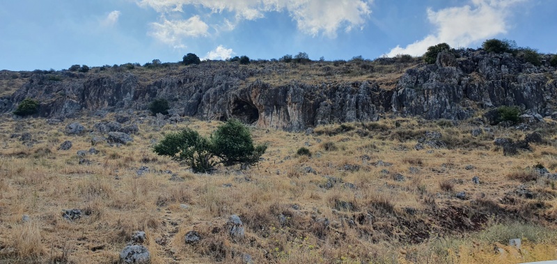 קובץ:2021-08-17T10 08 24.544438651078.jpg