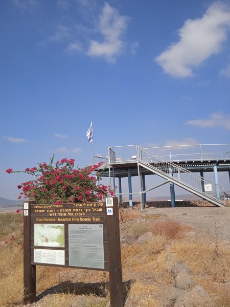 קובץ:2021-08-20T09 56 23.758312334599.jpg