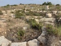 תמונה ממוזערת לגרסה מתאריך 07:31, 28 באוגוסט 2021