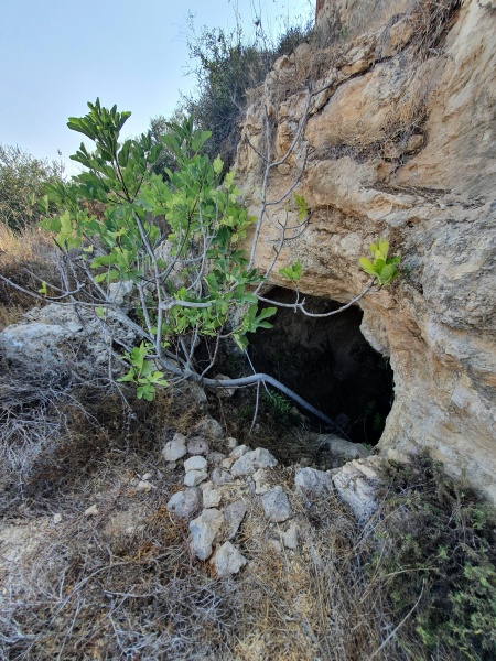 קובץ:2021-09-03T16 14 27.008529824533.jpg