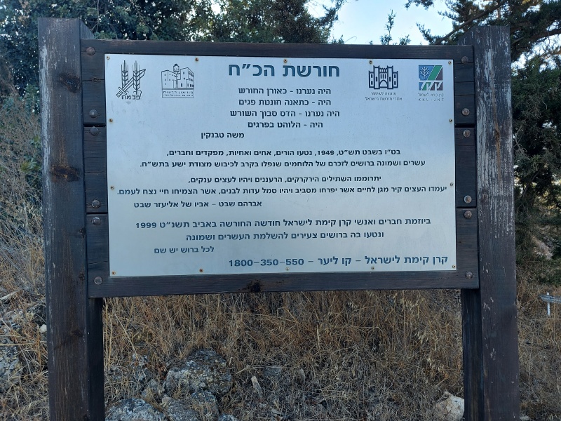 קובץ:2021-10-05T16 42 09.062750367414.jpg