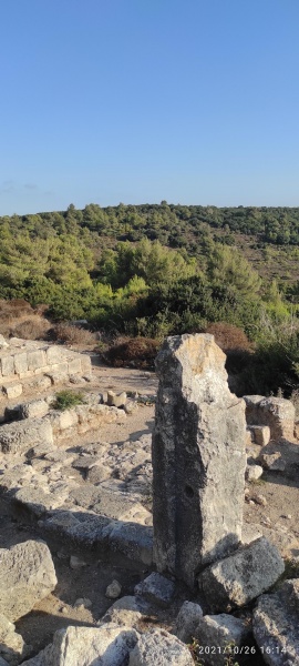 קובץ:2021-10-28T21 01 20.37782856154.jpg
