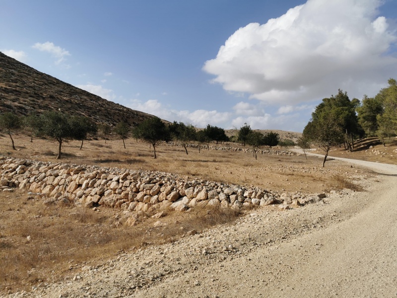 קובץ:2021-11-02T14 37 51.262563169948.jpg