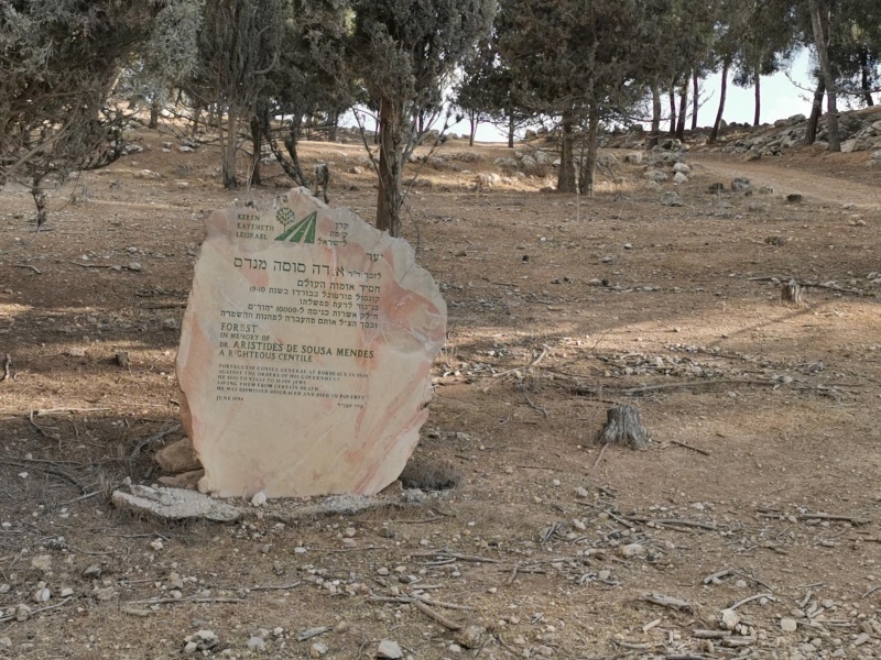 קובץ:2021-11-02T14 42 33.746409813539.jpg