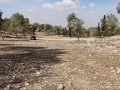 תמונה ממוזערת לגרסה מתאריך 08:55, 11 בנובמבר 2021