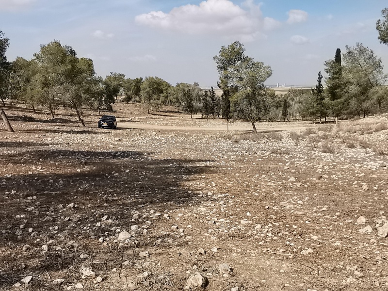 קובץ:2021-11-11T10 57 40.847924819638.jpg