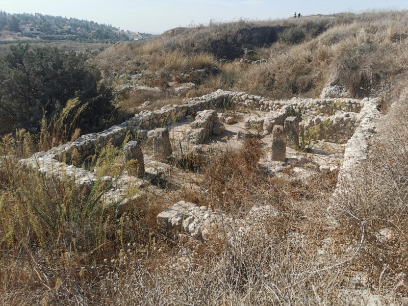 קובץ:2021-11-13T10 38 33.964695701800.jpg
