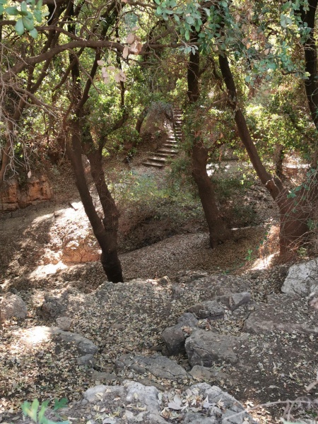 קובץ:2021-11-16T11 13 54.113450894579.jpg
