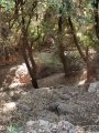 תמונה ממוזערת לגרסה מתאריך 11:15, 16 בנובמבר 2021