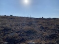 תמונה ממוזערת לגרסה מתאריך 11:55, 22 בנובמבר 2021