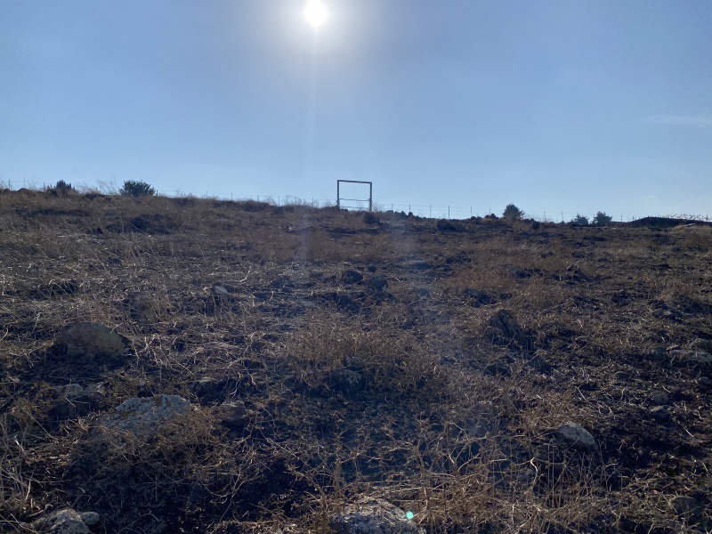 קובץ:2021-11-22T13 57 52.365469335771.jpg