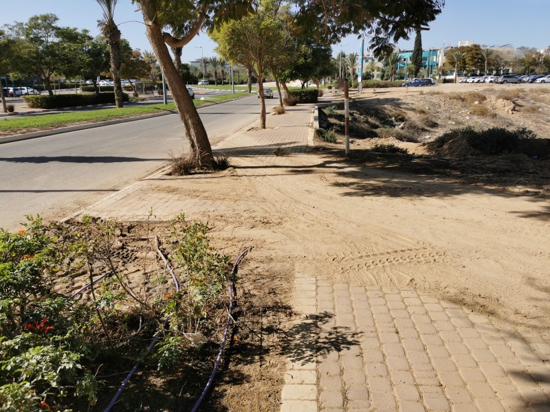 קובץ:2021-11-28T11 41 39.75397041521.jpg