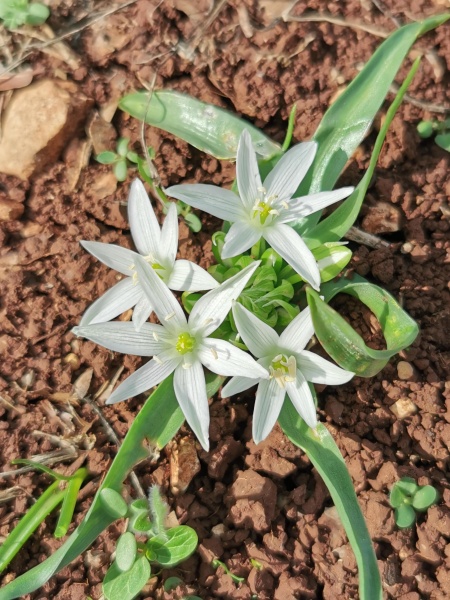 קובץ:2021-12-05T11 20 10.66539475773.jpg