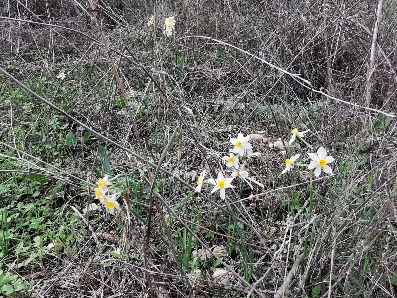 קובץ:2021-12-12T12 38 03.608638241949.jpg