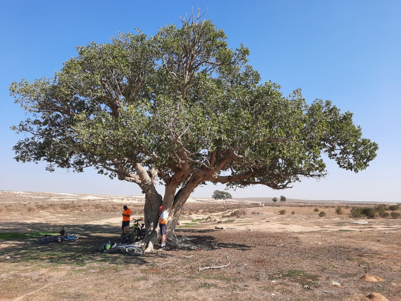 קובץ:20210107 113122.jpg