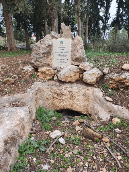 קובץ:2022-01-05T11 25 05.46777121831.jpg