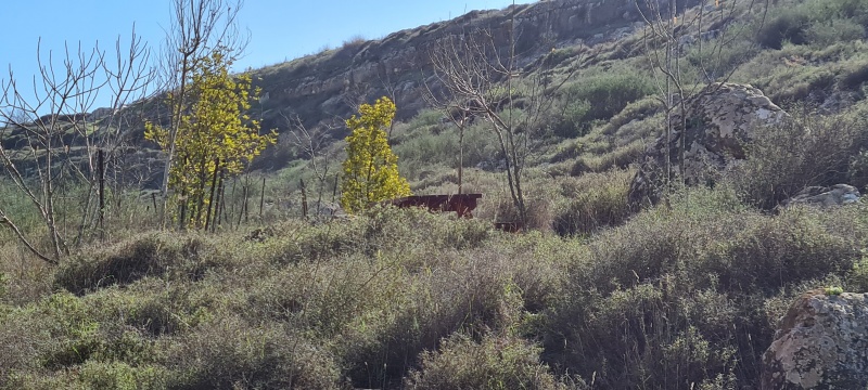 קובץ:2022-01-11T12 41 25.471189740272.jpg