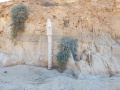 תמונה ממוזערת לגרסה מתאריך 14:55, 29 בינואר 2022