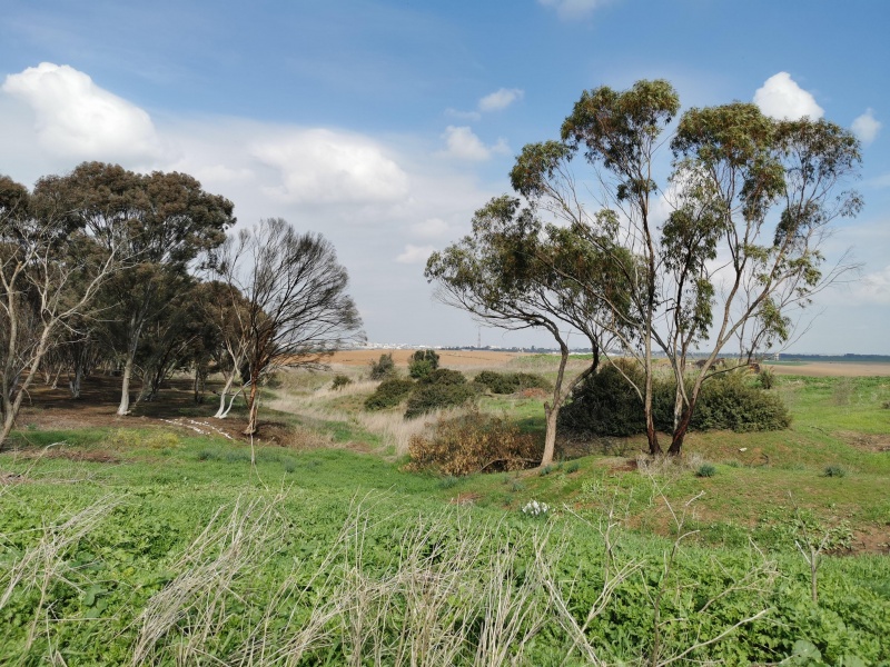 קובץ:2022-01-29T11 27 33.126769584400.jpg
