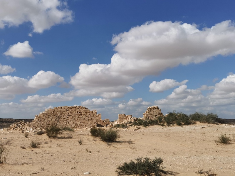 קובץ:2022-01-29T13 25 04.51781137170.jpg