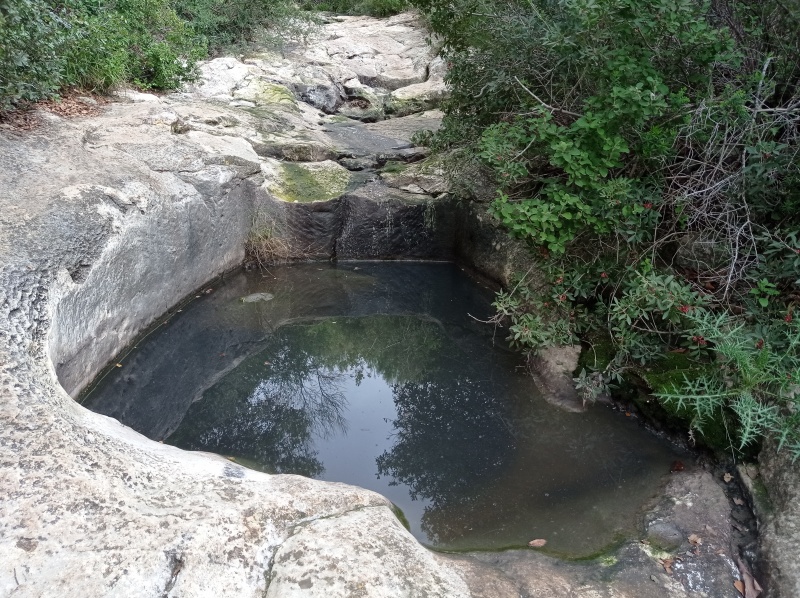 קובץ:2022-02-19T12 01 57.066858781394.jpg