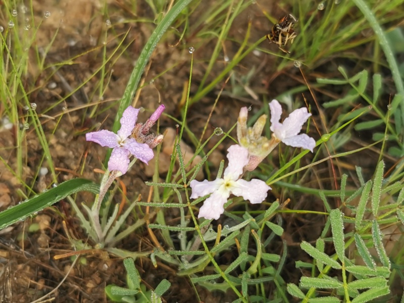 קובץ:2022-02-21T08 38 08.296416896080.jpg