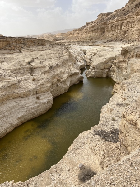 קובץ:2022-03-03T13 31 35.017711491970.jpg