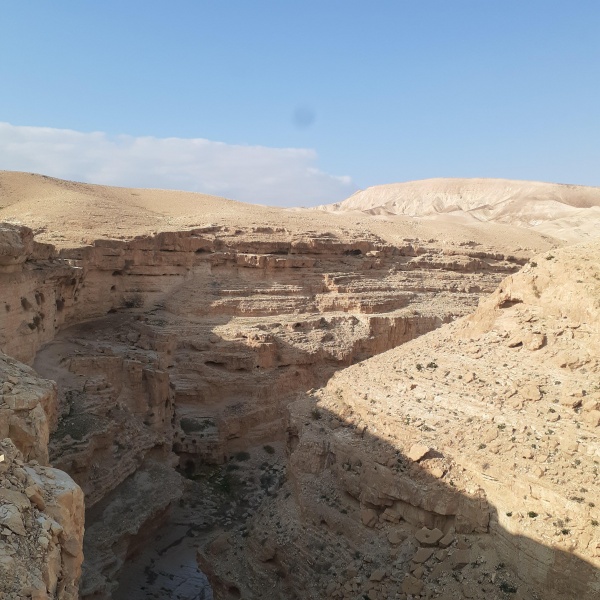 קובץ:2022-03-04T15 18 32.318010509175.jpg