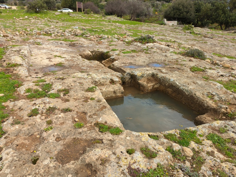 קובץ:2022-03-12T09 20 52.15604330152.jpg